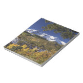 サンフアン山脈と《植物》アスペンの木のフォールカラー ノートパッド (回転)