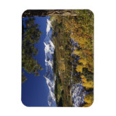 サンフアン山脈と《植物》アスペンの木のフォールカラー マグネット (縦)