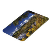 サンフアン山脈と《植物》アスペンの木のフォールカラー マグネット (左側)