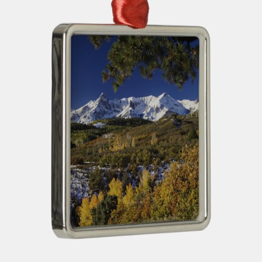 サンフアン山脈と《植物》アスペンの木のフォールカラー メタルオーナメント (右)