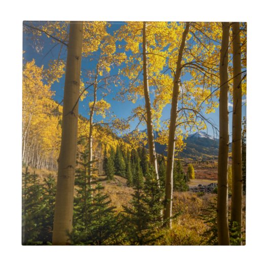 サンフアン山脈の風景 タイル (正面)