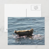 サンフアン島の挨拶 ポストカード (正面/裏面)