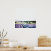 サンフアン島ラベンダーファームby Bryn Barnard ポスター (キッチン)