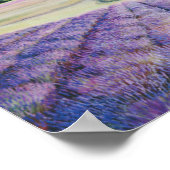 サンフアン島ラベンダーファームby Bryn Barnard ポスター (角)