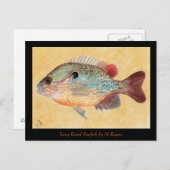 サンフィッシュアートカード ポストカード (正面/裏面)