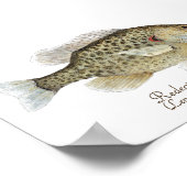 サンフィッシュアート ポスター (角)