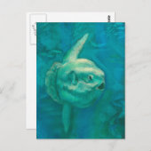 サンフィッシュモラモラ海水中動物芸術 ポストカード (正面/裏面)