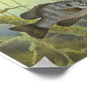 サンフィッシュ様 ポスター (角)