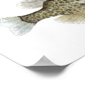 サンフィッシュ3色の勉強 ポスター (角)