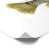 サンフィッシュ3 ポスター (角)