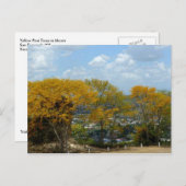 サンフェルナンド山の黄色いプイの木 ポストカード (正面/裏面)