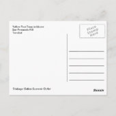 サンフェルナンド山の黄色いプイの木 ポストカード (裏面)