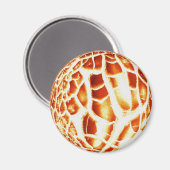 サンフォトマグネット マグネット (正面/裏面)