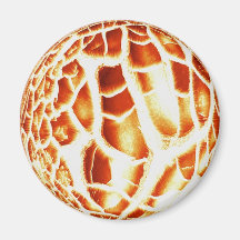 サンフォトマグネット