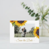 サンフラワーの夏の素朴な日付結婚を除く 案内ポストカード (スタンド正面)