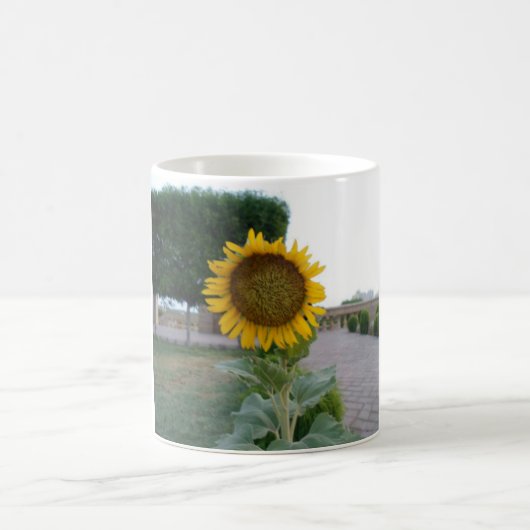 サンフラワーアートプリント コーヒーマグカップ (中央)