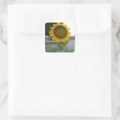 サンフラワーアートプリント スクエアシール (バッグ)