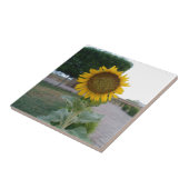 サンフラワーアートプリント タイル (側面)