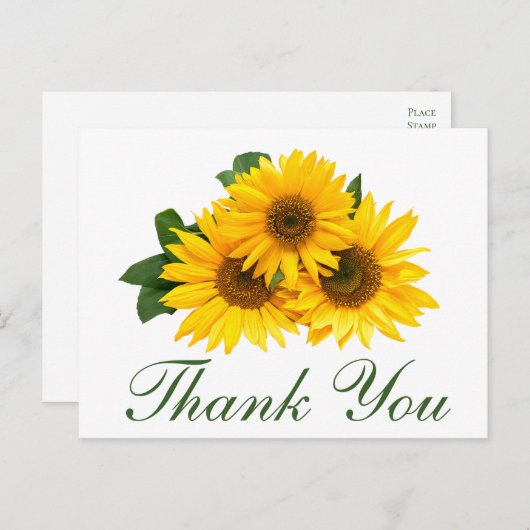 サンフラワーサンフラワーエレガントサンキュー黄結婚フローラ ポストカード (正面/裏面)