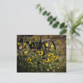 サンフラワーズとトラクタ ポストカード (スタンド正面)