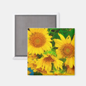 サンフラワーズシティマーケットKCファーマーズマーケット マグネット (正面/裏面)