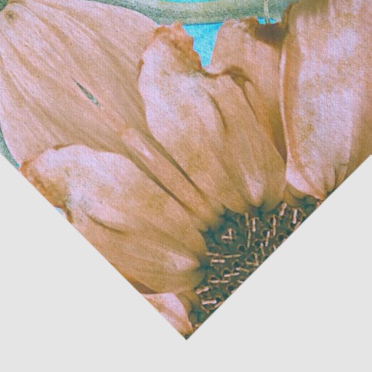 サンフラワーズセピアティール（緑がかった色）フローラヴィンテージアンティーク 薄葉紙 (詳細)