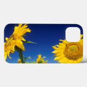サンフラワーズ(Helianthus Anuus)、セネカル近く Case-Mate iPhoneケース (裏面 (横))