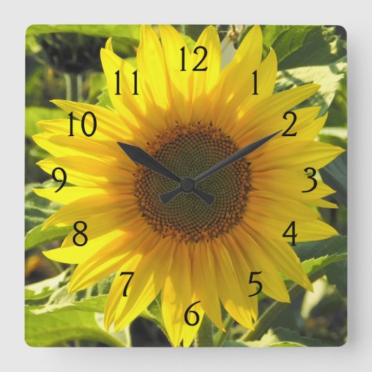 サンフラワーセレナーデ スクエア壁時計 (正面)