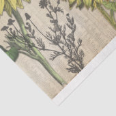 サンフラワードリームズデクページティッシュペーパー 薄葉紙 (詳細)