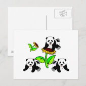 サンフラワーパンダベアーズ ポストカード (正面/裏面)