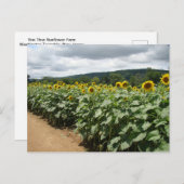 サンフラワーファームニュージャージー ポストカード (正面/裏面)