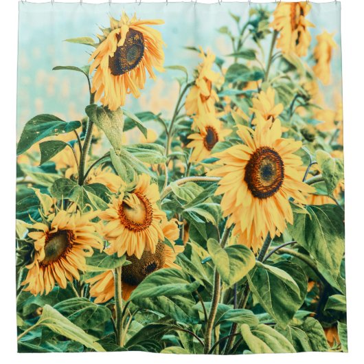 サンフラワーフィールドイエローティール（緑がかった色）フローラアートデザイン シャワーカーテン (正面)