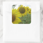 サンフラワーフォトスクエアステッカー、光沢 スクエアシール (バッグ)