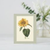 サンフラワーブリティッシュボタニカルイラストレーション ポストカード (スタンド正面)