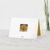 サンフラワー感謝サンフラワー感謝 カード (裏面)