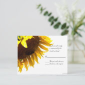 サンフラワーiii rsvp (スタンド正面)