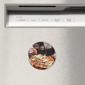 サンフランシスクのフィッシャーマンズワーフでダンジェンスカニ マグネット (インサイチュ (食洗機))