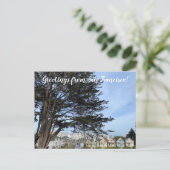 サンフランシスコからのご挨拶 ポストカード (スタンド正面)