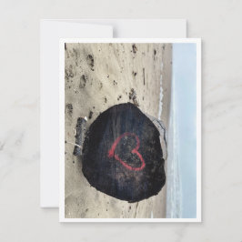 サンフランシスコからの愛 シーズンカード