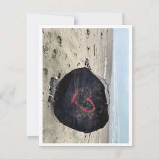 サンフランシスコからの愛 シーズンカード