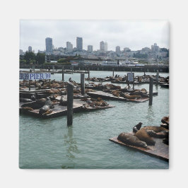 サンフランシスコとピア39の海獅子都市スカイライン マグネット
