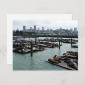 サンフランシスコとピア39シーライオンズシティスカイライン (正面/裏面)