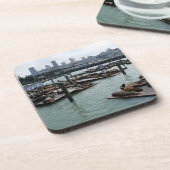 サンフランシスコとピア39シーライオンズシティスカイライン コースター (左側)