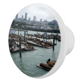 サンフランシスコとピア39シーライオンズシティスカイライン セラミックノブ (右)