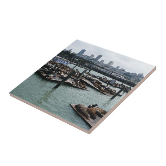 サンフランシスコとピア39シーライオンズシティスカイライン タイル (側面)