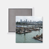 サンフランシスコとピア39シーライオンズシティスカイライン マグネット (正面/裏面)