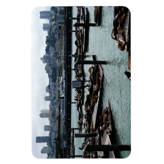 サンフランシスコとピア39シーライオンズシティスカイライン マグネット (縦)