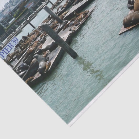 サンフランシスコとピア39シーライオンズシティスカイライン 薄葉紙 (詳細)