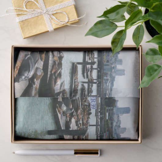 サンフランシスコとピア39シーライオンズシティスカイライン 薄葉紙 (ギフト)