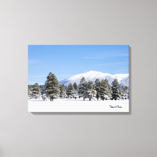 サンフランシスコの写真は雪のアリゾナのピーク キャンバスプリント (正面)
